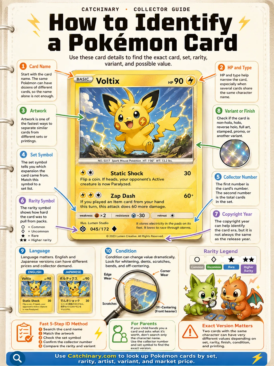 Catchinary collector guide infographic on how to identify a Pokémon card. Annotated card showing 10 visible details: card name, HP and type, artwork, set symbol, collector number, rarity symbol, copyright year, holo finish, language, and condition. Plus a 5-step fast ID method, parent buyer guidance, and the rarity legend.